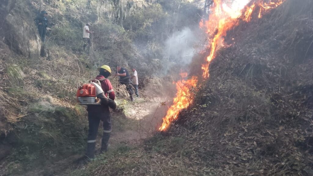 Incendios forestales: riesgo para ecosistemas, biodiversidad y la seguridad de la población