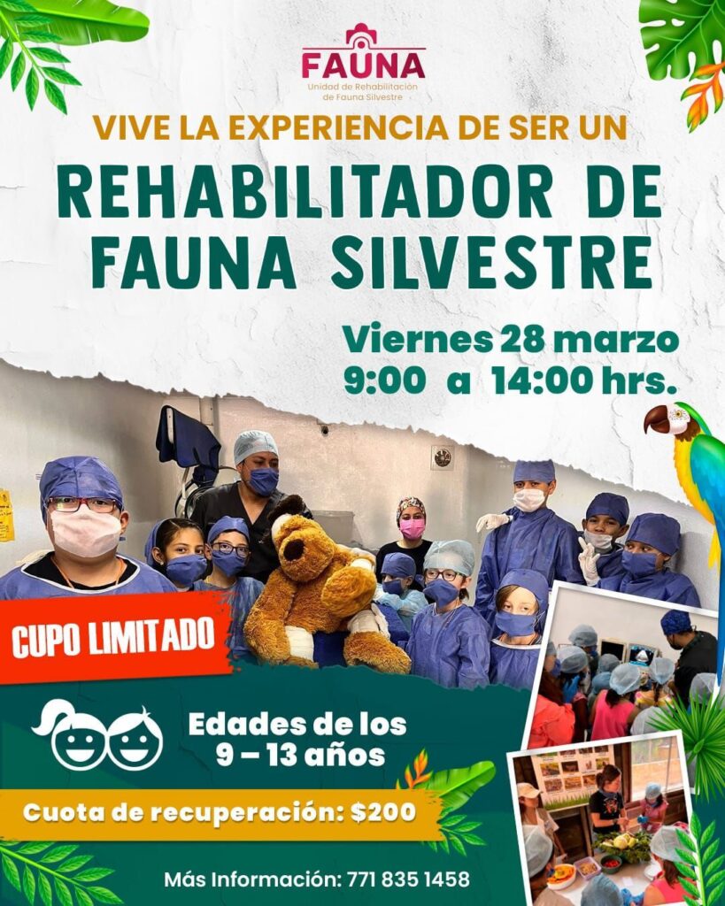 Médicos infantiles de bienestar animal por un día