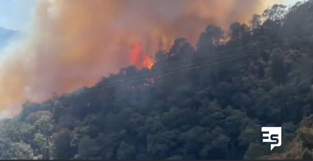Difícil controlar incendio forestal en Tlahuiltepa; evacuan a 10 familias