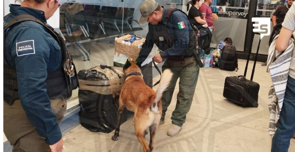 Operativo canino en la Central de Autobuses