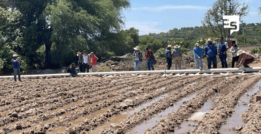 Instalan 20 parcelas modelo para modernizar el riego en 9 municipios del Valle del Mezquital