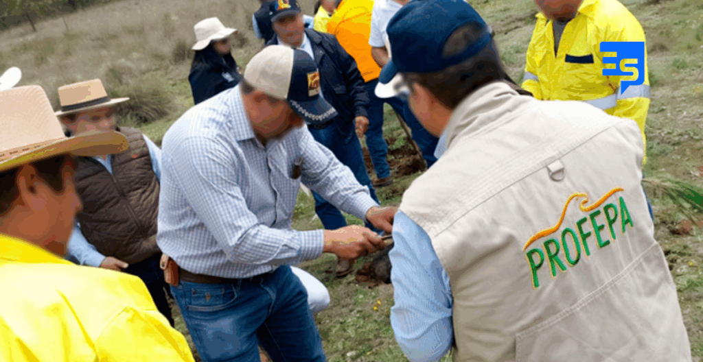 Comités de Vigilancia de Profepa participan en jornada de reforestación en Hidalgo