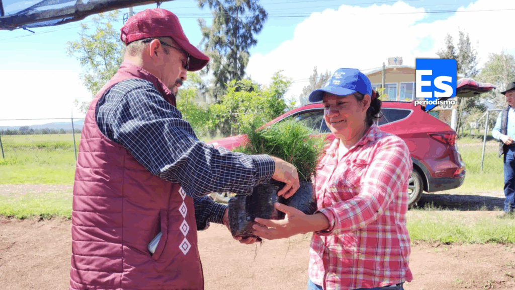 Como parte de esta iniciativa municipal, hoy viernes se llevó a cabo una Jornada de Reforestación en Santo Tomás, en la que participaron autoridades auxiliares y la población. “Aquí demostramos que el trabajo en equipo es clave para construir un Huasca más verde y sustentable”, se dijo.