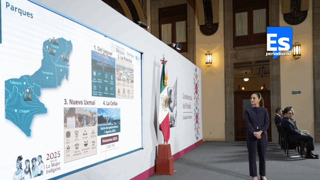 “Son rentables y van requetebién” AIFA, tren maya y su línea de carga, Mexicana de Aviación”