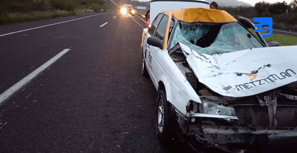 Vaca cruza la carretera y la arrolló mortalmente veloz taxi