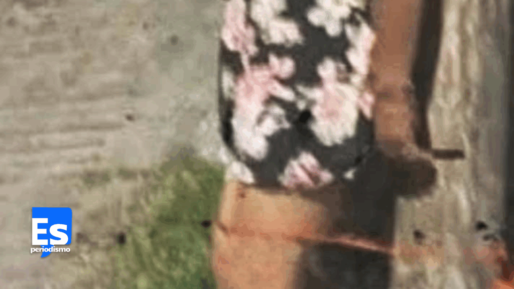 Capturan, amarran y con vestido exhiben a