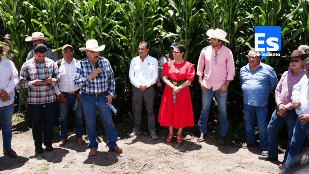 Constatan avances en la tecnificación de riego en el Valle del Mezquital