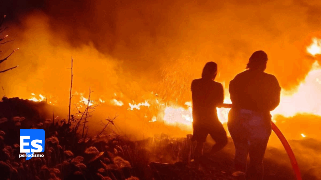 Controlaron incendio en depósito de neumáticos