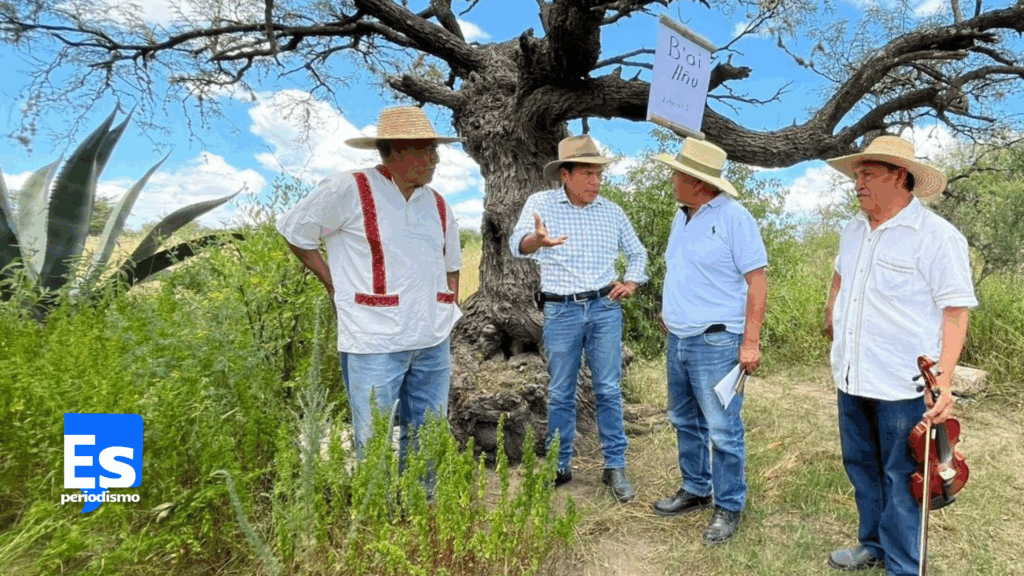 Declaratoria de la Indicación Geográfica del Aguamiel