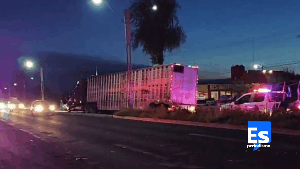 Estatales frustran robo de tráiler cargado con ganado