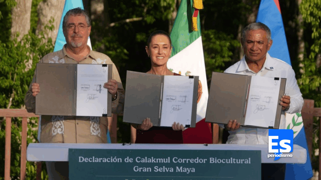 PRESERVARÁN Y RESTAURARÁN 5.7 MILLONES DE HECTÁREAS