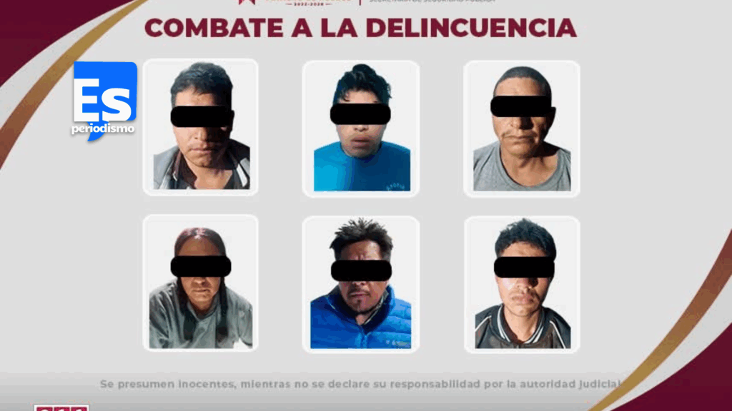 Seis detenidos y aseguramiento de droga y perritos maltratados en dos cateos