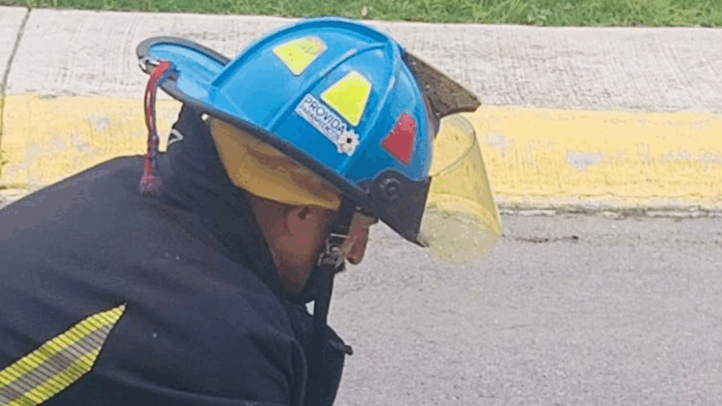 Hallan serpiente de cascabel en un domicilio de Pachuca