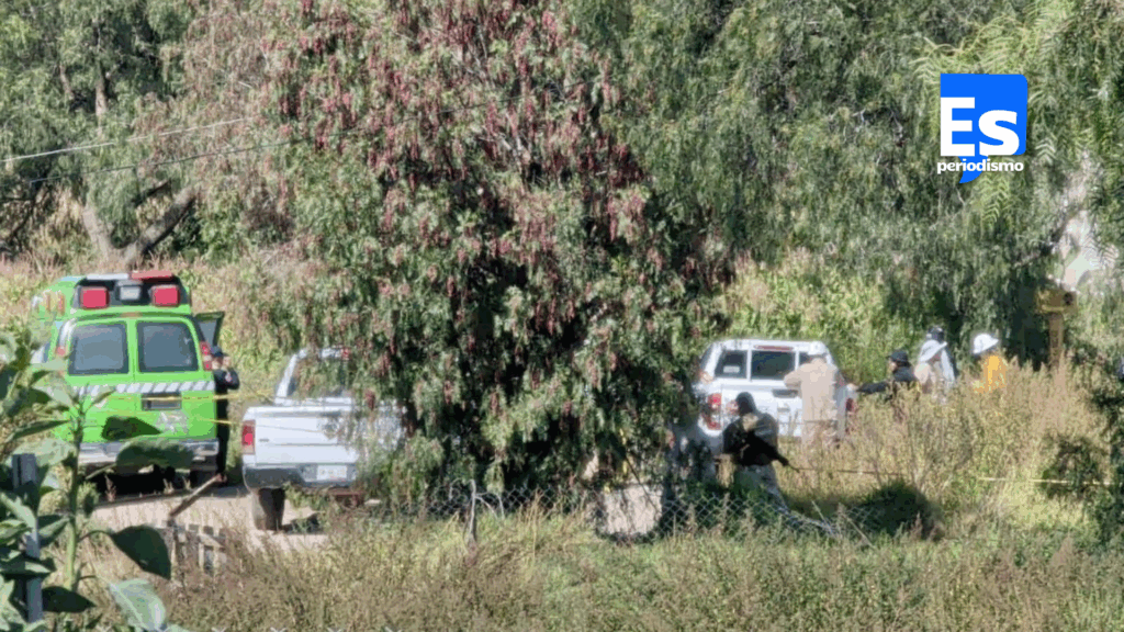 Huachicol entre Tuzos y El Venado al descubierto