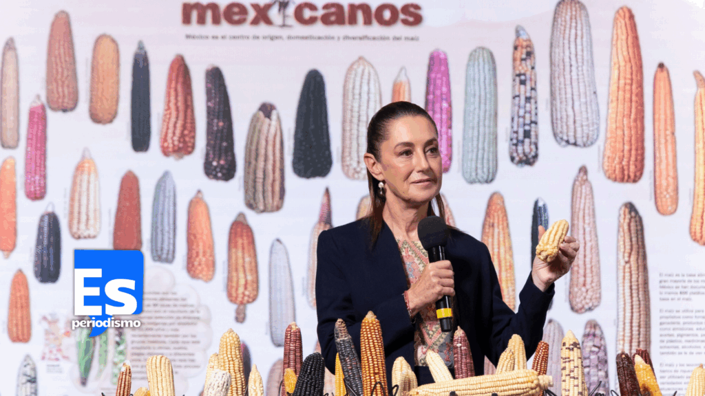“Sin maíz no hay país”, establecerá precios