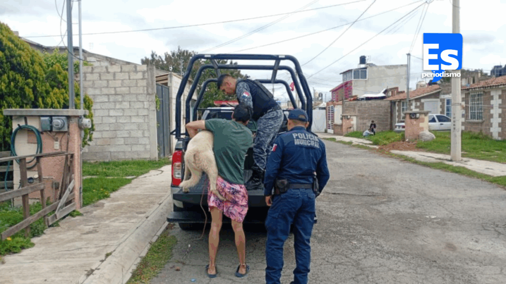 Denuncian maltrato animal