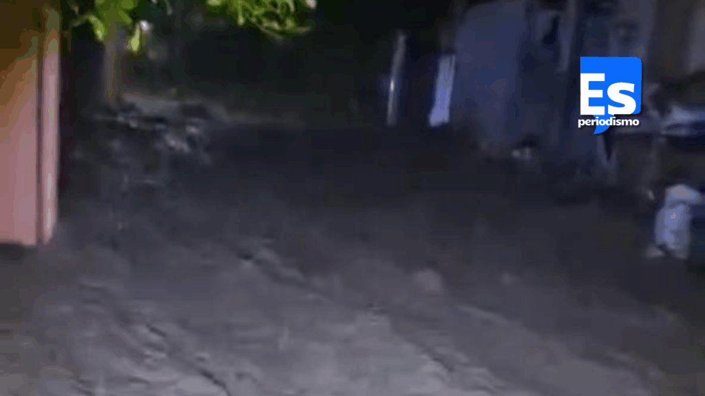 OTRA VEZ EL DILUVIO