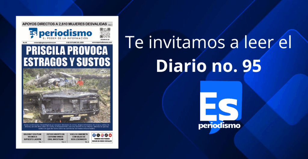 Diario Es Periodismo No. 95
