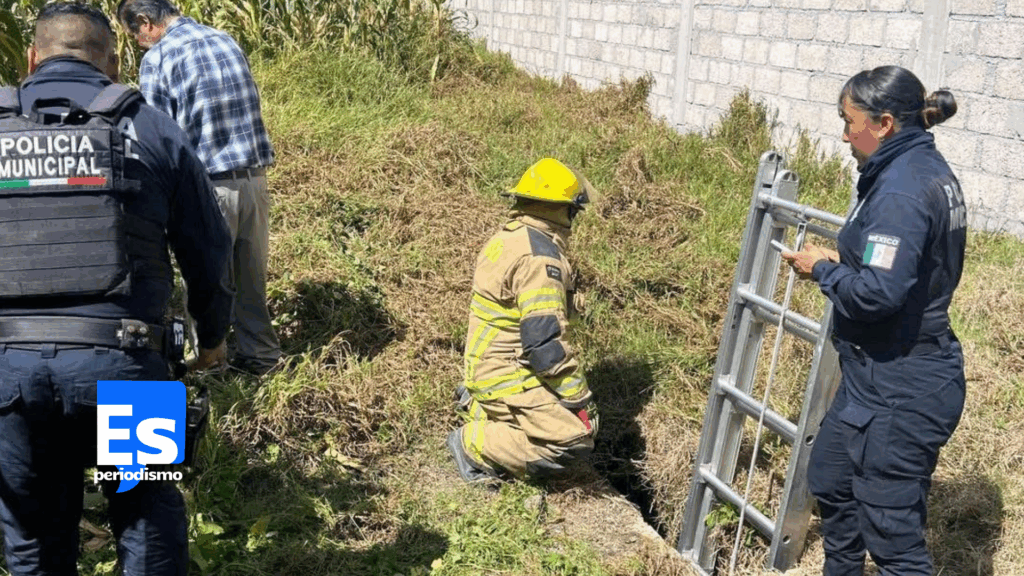 Rescatan a perrito atrapado en profundo