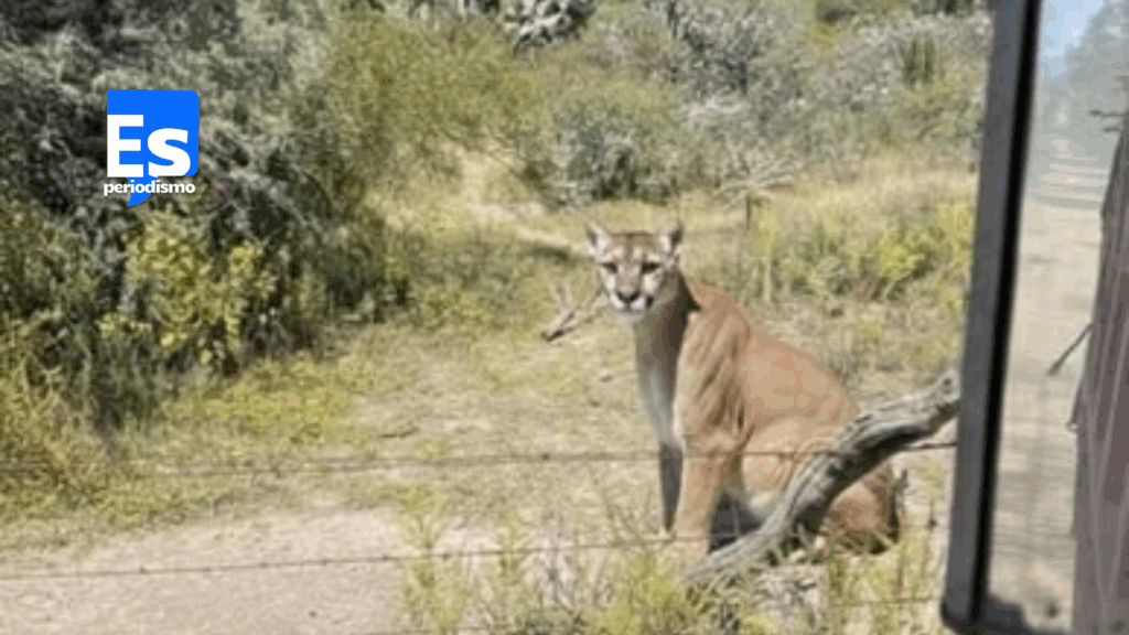 Emprenden medidas para la conservación