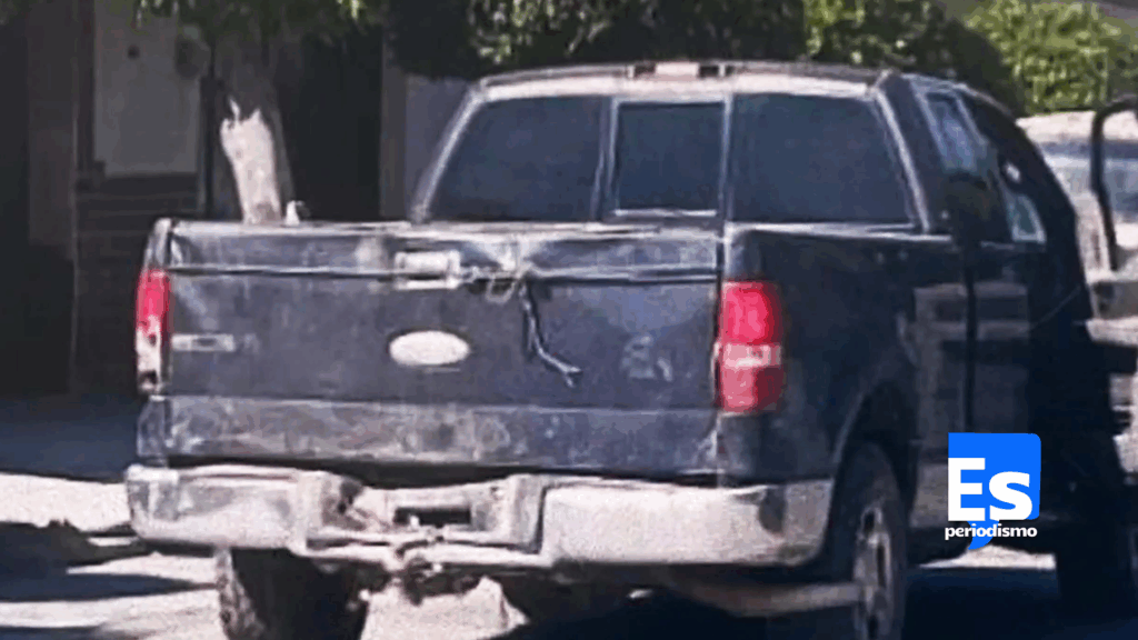 Encontraron maltratado