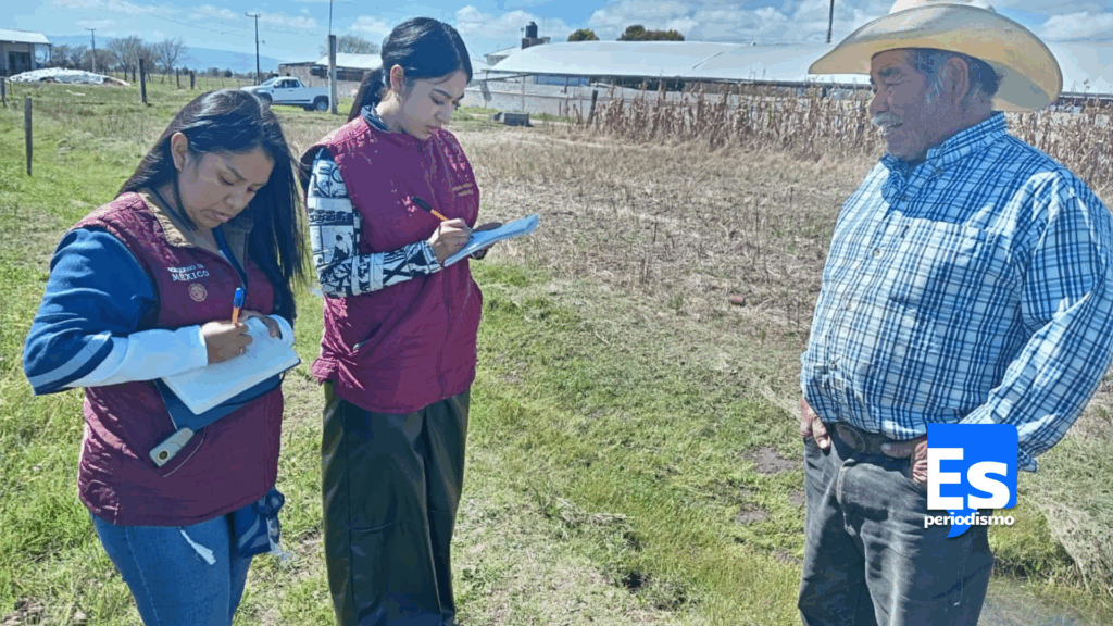 Cultivos de maíz y frijol alcanzan