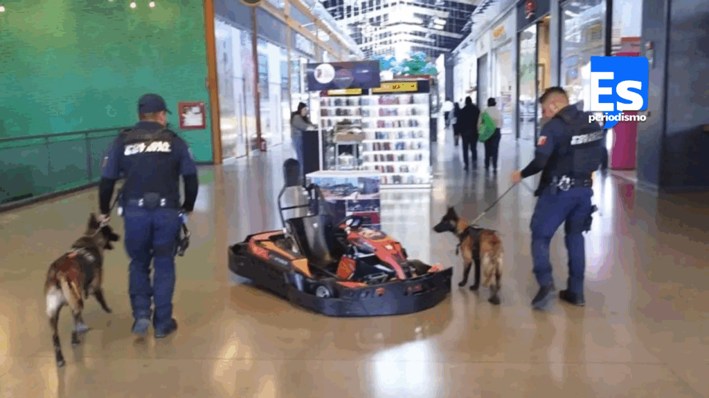 Refuerzan corporaciones policiales