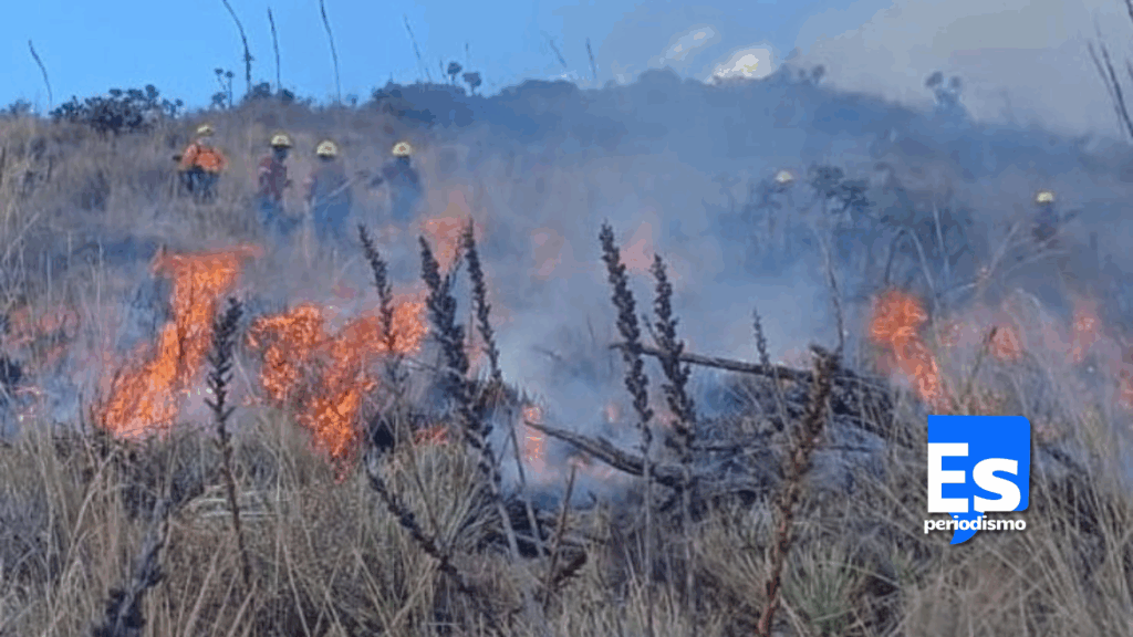 Batallaron horas para apagar incendio