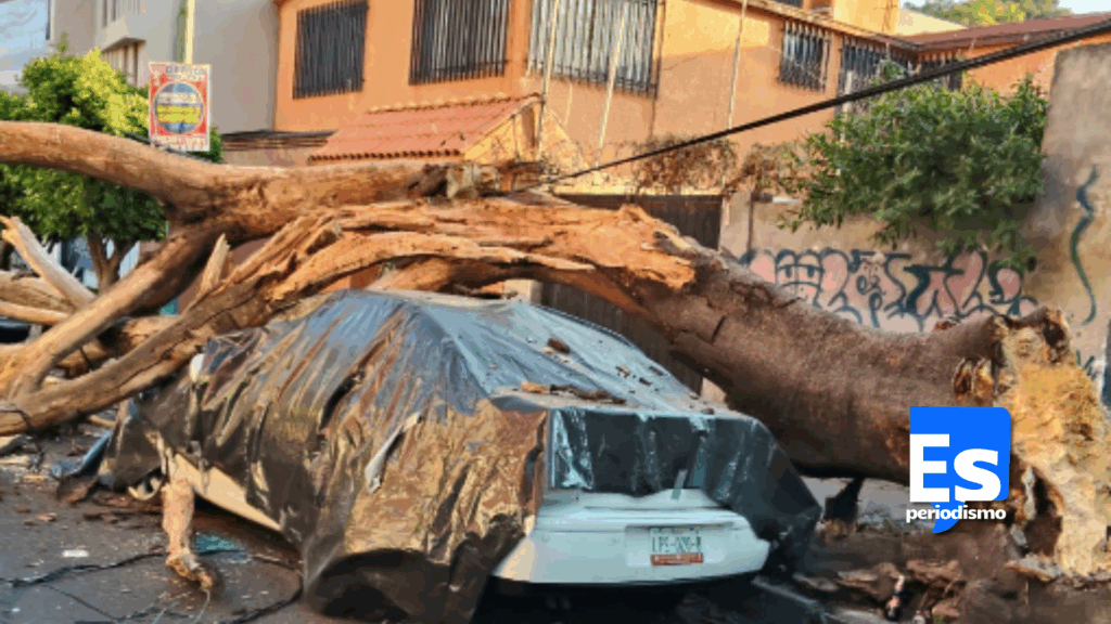 Se cimbró Hidalgo con el temblor