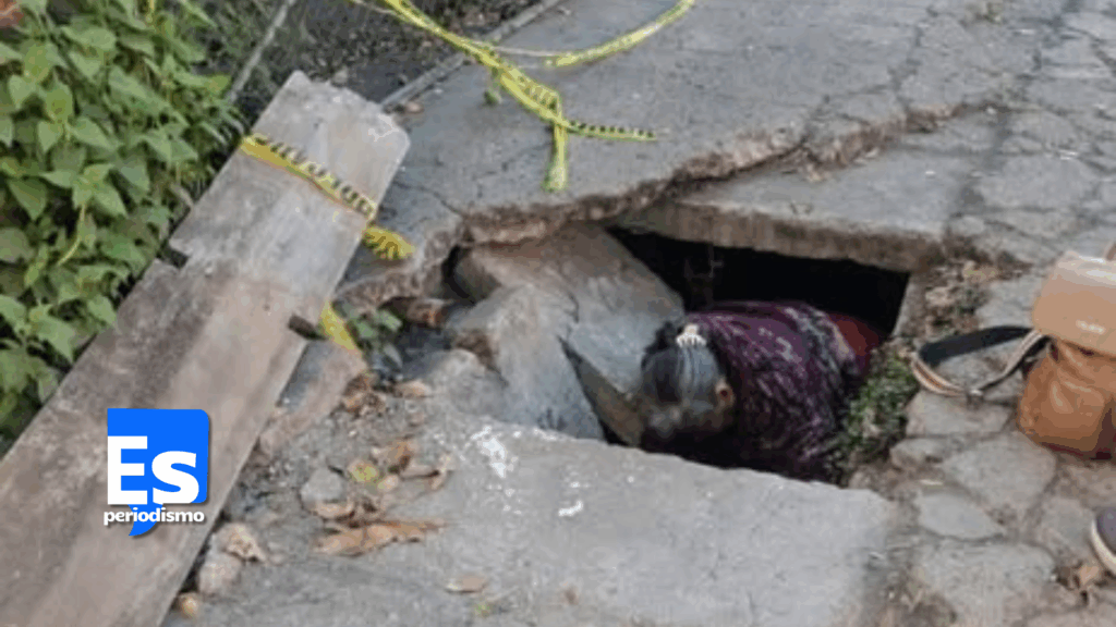 Mujer de la tercera edad cae