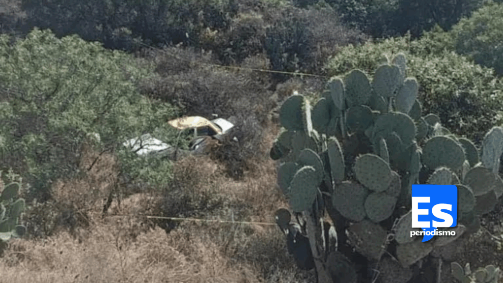 Taxista muere al caer a barranco