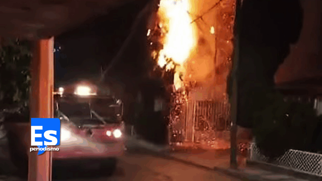 Impresionante incendio de un árbol