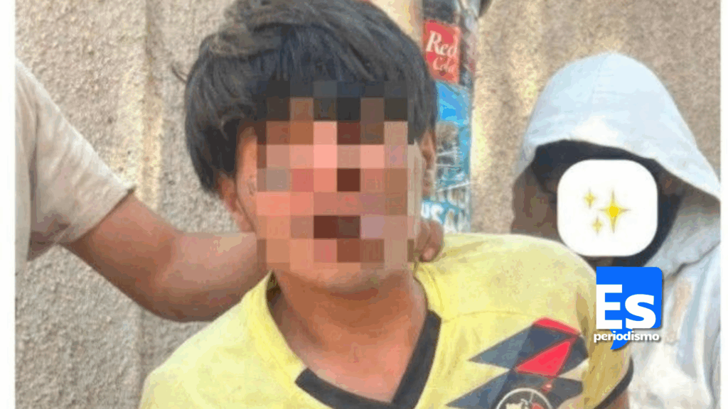 En lugar de robar gansitos y pingüinos