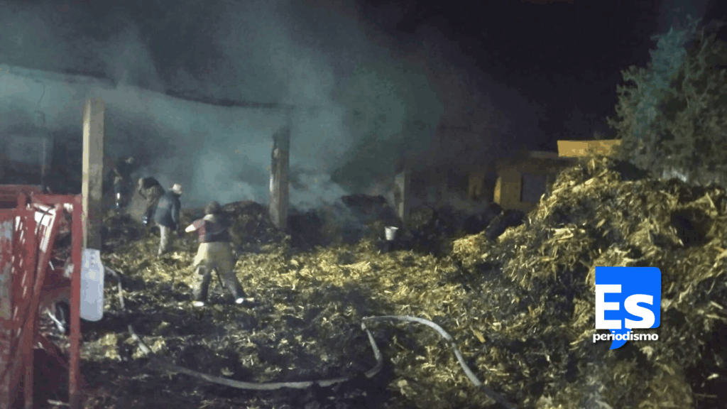 Incendio consume 3 mil pacas de