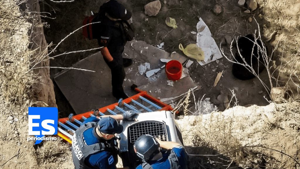 Despliegue coordinado de personal