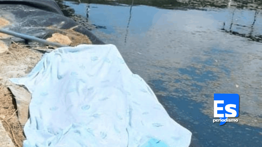 Joven pierde la vida al meterse a