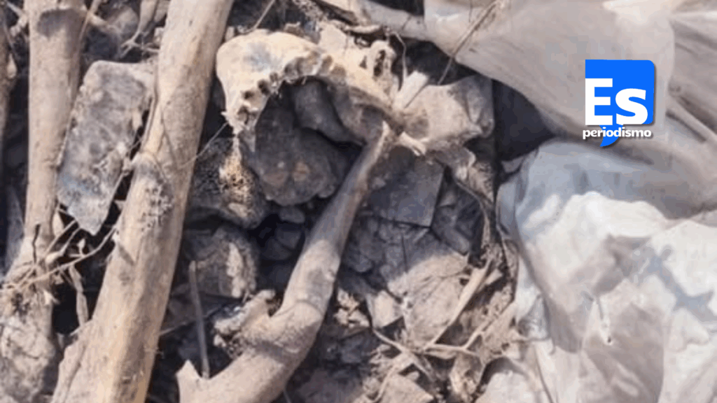 Localizan osamenta en el cerro