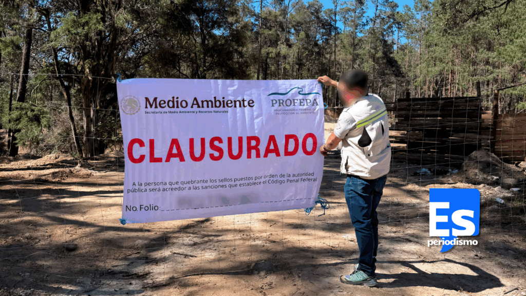 Taló bosque para fraccionamiento
