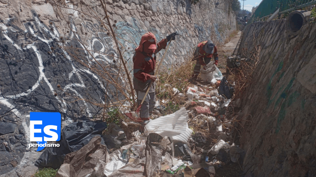 Sillones, refrigeradores, estufas