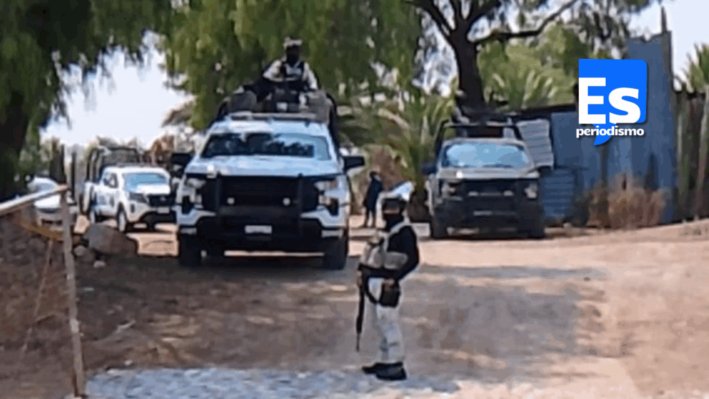 Dictámenes periciales determina