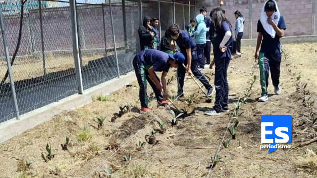 Desarrollan proyectos científicos