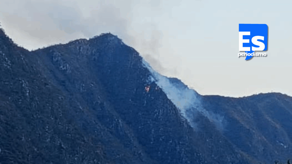 Intensifican labores contra