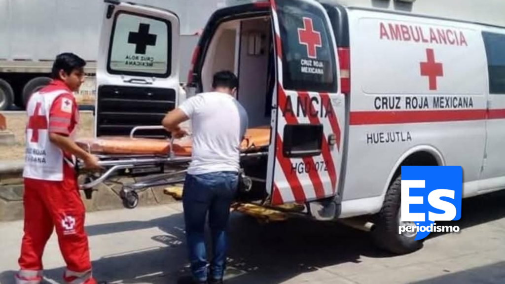 Pitbull ataca a adulta mayor