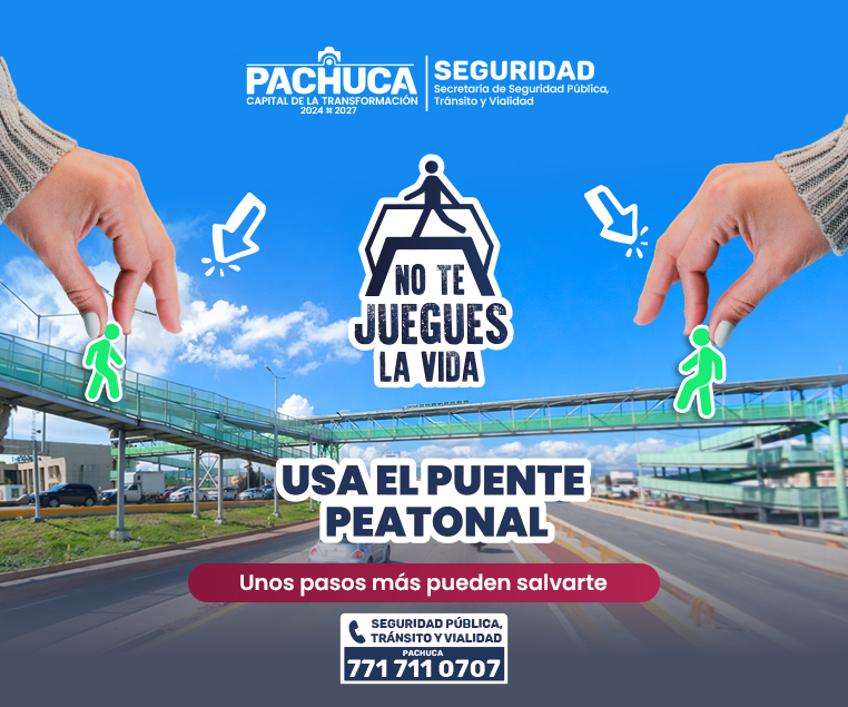 Secretaría de Seguridad Pública