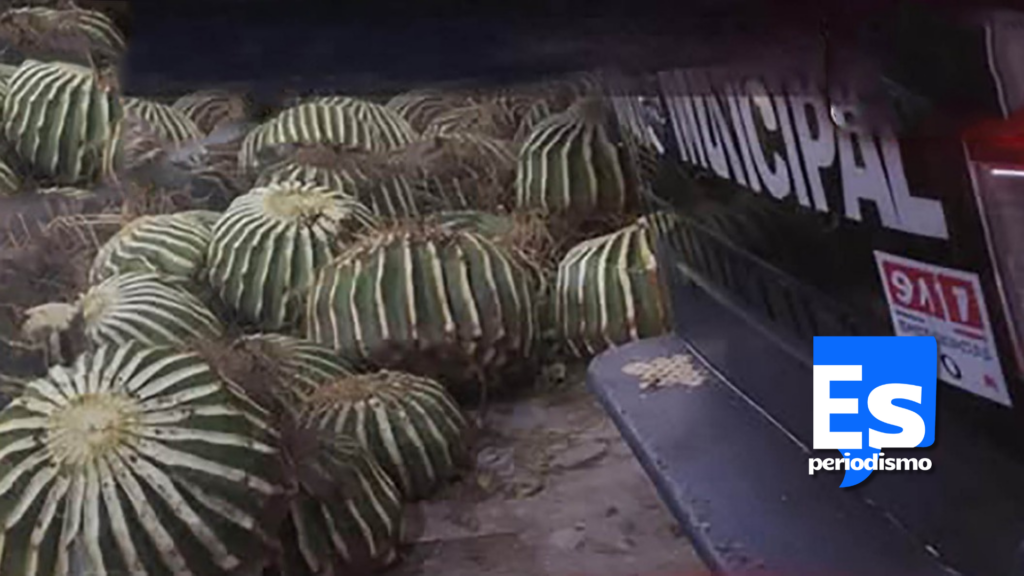 Vecinos de Lagunilla y autoridades