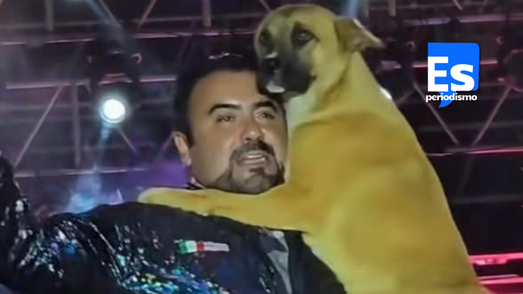 Alcalde baila con lomito