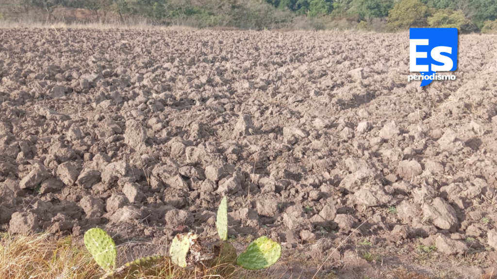 Productores de Tulancingo preparan tierras