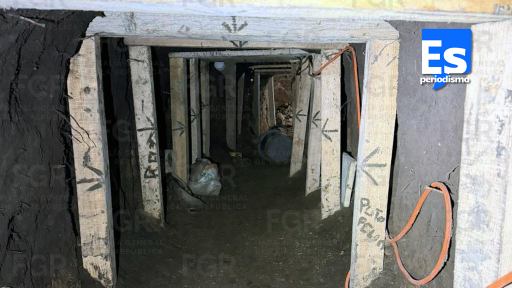 La federal aseguró e inhabilitó túnel