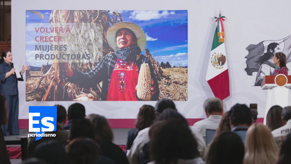 “Volver a Crecer” programa federal