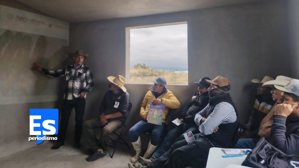 Nueve casos de gusano barrenador